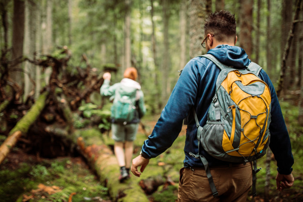 Group of hikers walking in the forest